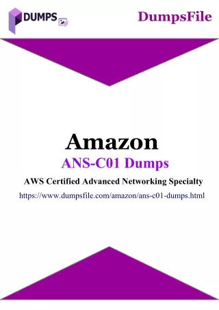 Amazon ANS-C01 Certified Professional Learning Material | DumpsFile