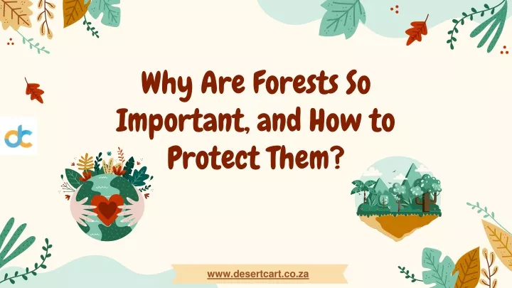 why are forests so important and how to protect them