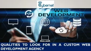 qualities to look for in a custom web development