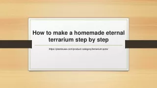 How to make a homemade eternal terrarium step