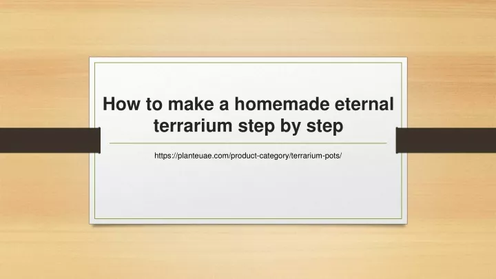 how to make a homemade eternal terrarium step