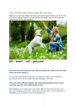 the 15 best dog training tips exercises