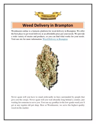 Weed Delivery in Brampton  Weedmaster.online