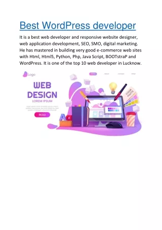 Best WordPress developer