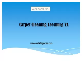 Carpet Cleaning Leesburg VA - www.whitegoose.pro