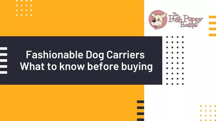 fashionable dog carriers what to know before buying
