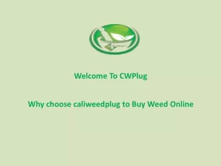 Why choose caliweedplug to Buy Weed Online
