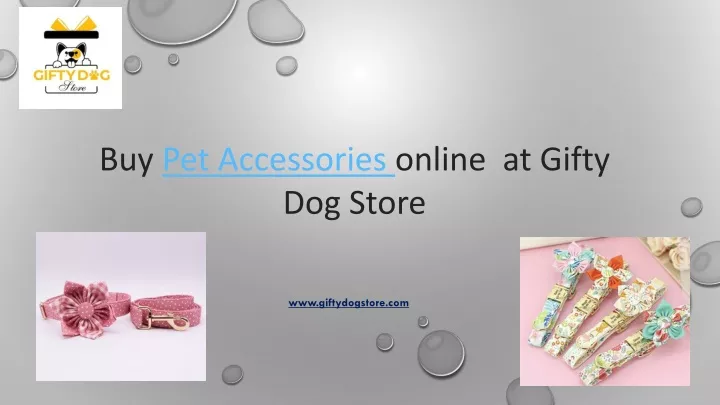 buy pet accessories online at gifty dog store