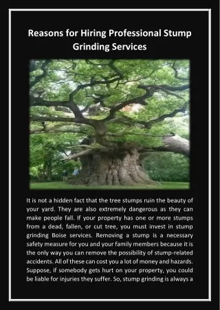 Reasons for Hiring Professional Stump Grinding Services