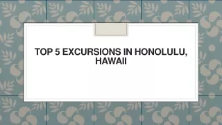 top 5 excursions in honolulu hawaii