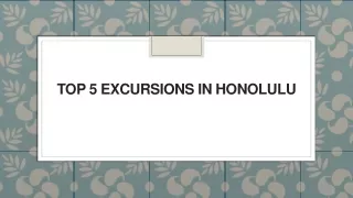 top 5 excursions in honolulu