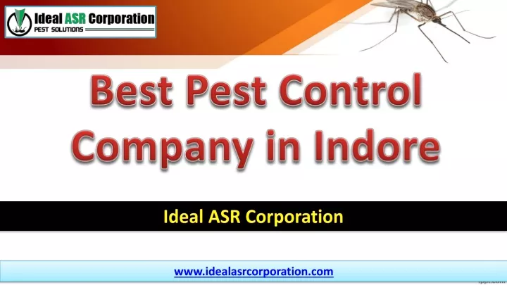 best pest control company in indore