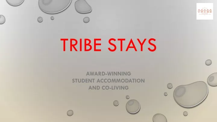 tribe stays