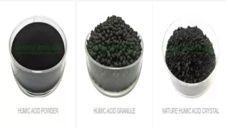 Easily Available and Affordable Humic Acid Price