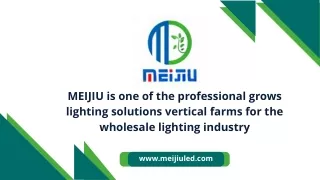 Benefits of using Professional grow lights | MEIJIU