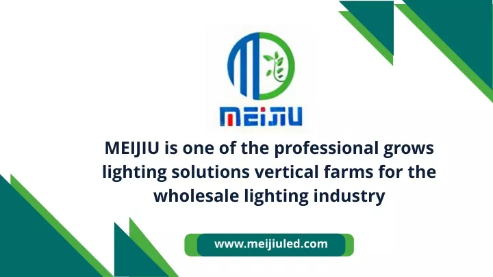 meijiu is one of the professional grows lighting