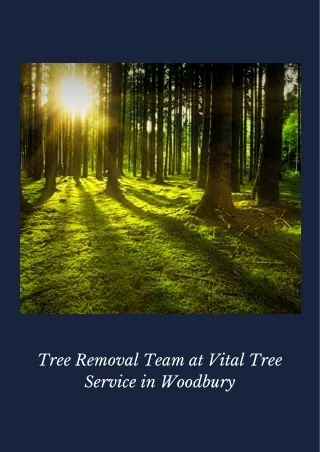 Tree Removal Team at Vital Tree Service in Woodbury