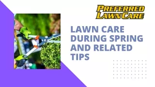 Lawn Care During Spring And Related Tips