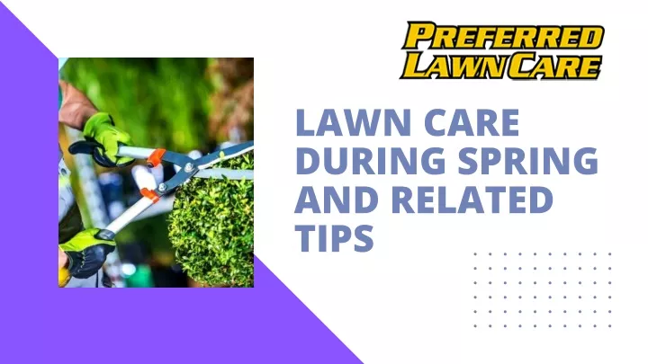 lawn care during spring and related tips