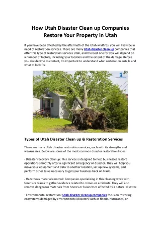 How Utah Disaster Clean up Companies Restore Your Property in Utah