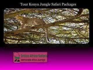 Tour Kenya Jungle Safari Packages