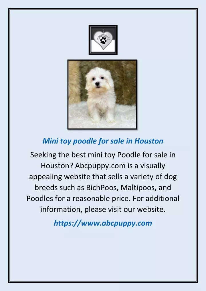 mini toy poodle for sale in houston