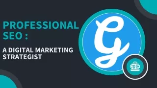 Professional SEO : A Digital Marketing Strategist