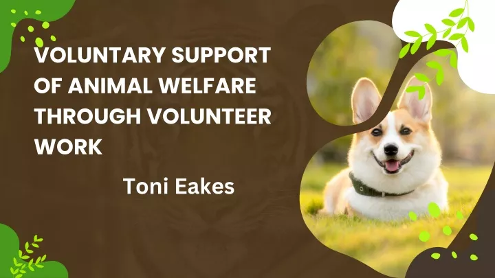voluntary support of animal welfare through