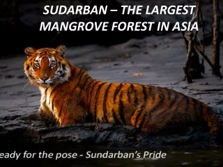 SUDARBAN – THE LARGEST MANGROVE FOREST IN ASIA