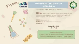 unversidad nacional de moquegua