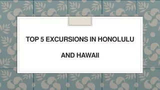 top 5 excursions in honolulu