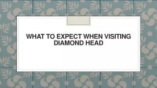 what to expect when visiting diamond head