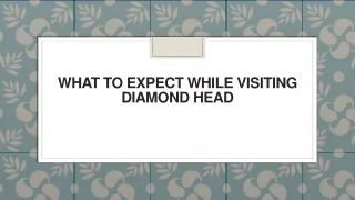 what to expect while visiting diamond head
