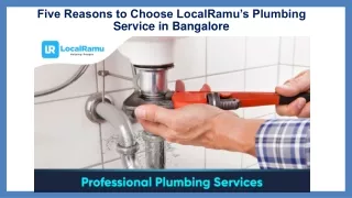 Five Reasons to Choose LocalRamu’s Plumber Service in Bangalore