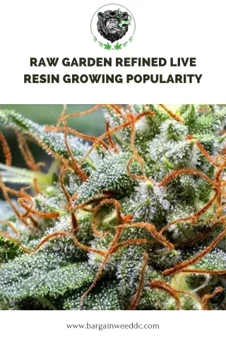 Visit an online dispensary to purchase raw garden refined live resin