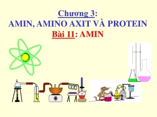 Bài giảng Hóa học 12 - Bài 11: Amin