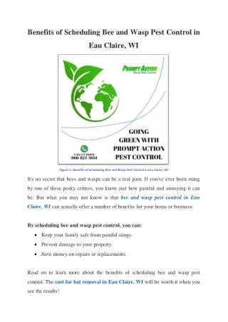Benefits of Scheduling Bee and Wasp Pest Control in Eau Claire, WI