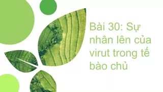 Sinh học 10 Bài 30: Sự nhân lên của virut trong tế bào chủ