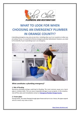 WHAT TO LOOK FOR WHEN CHOOSING AN EMERGENCY PLUMBER IN ORANGE COUNTY