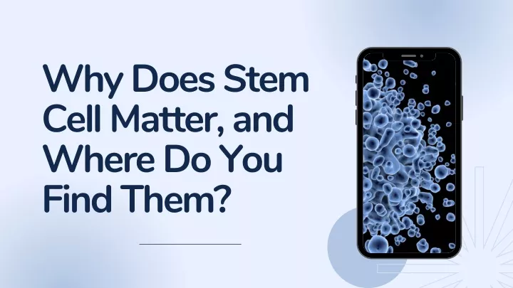 why does stem cell matter and where do you find