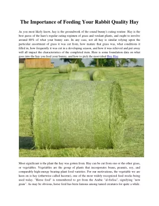 The Importance of Feeding Your Rabbit Quality Hay
