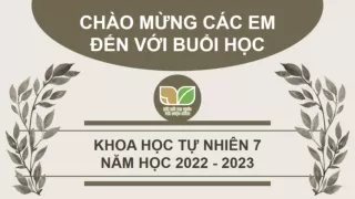 Bài giảng Khoa học tự nhiên 7 - Bài 1: Mở đầu môn Hoá học