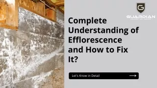 Complete Understanding of Efflorescence and How to Fix It
