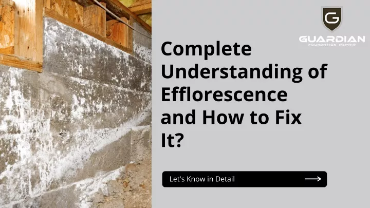 complete understanding of efflorescence