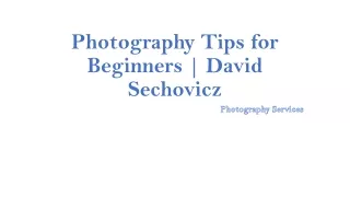 Photography Tips for Beginners | David Sechovicz