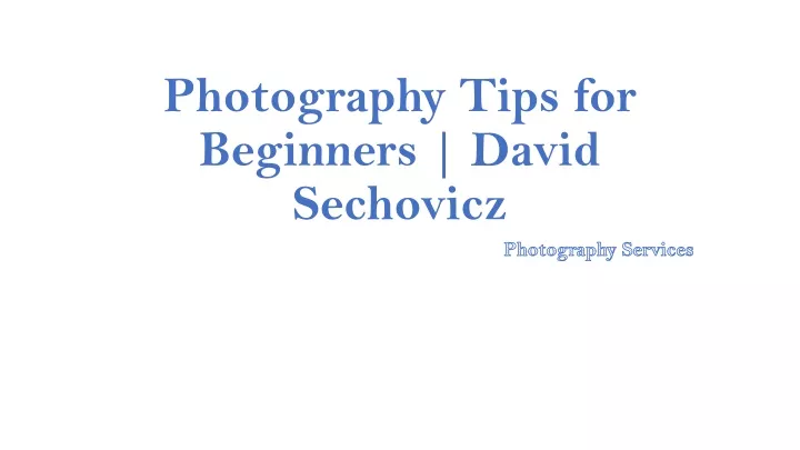 photography tips for beginners david sechovicz