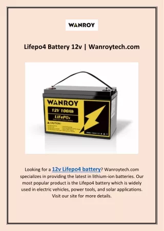Lifepo4 Battery 12v | Wanroytech.com
