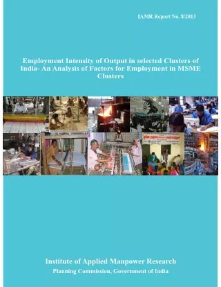 iamr report no 8 2013