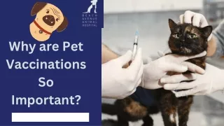 Why are Pet Vaccination So Important?