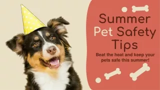 SUMMER PET SAFETY TIPS